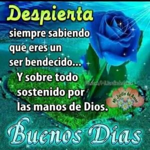 Meet your Posher, Alison